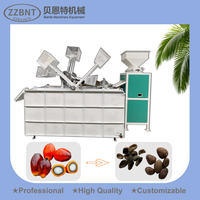 Machine à décortiquer les noix de palme automatique à haute efficacité ZZBNT, moteur 3 kW, capacité de 100 à 2000 kg/heure pour les abricots