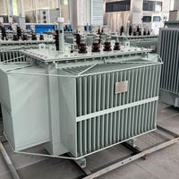 Transformateur d'huile triphasé S11 haute sécurité 700 kVA à bobine en aluminium pour parc logistique, longue durée de vie, vente en gros directe usine