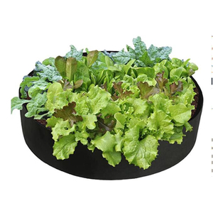 Sac de culture en feutre pour pommes de terre et tomates, style le plus récent, 10 gallons, avec fenêtre, support de pot de culture en tissu avec trous - Product Image 2