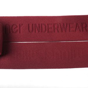 High Quality Woven Nylon Polyester Spandex JACQUARD Customized Logo <b>Elastic</b> Printed <b>Elastic</b> for Underwear Shoulder Tape - Product Image 2