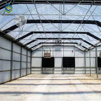 Sainpoly Large Greenhouse Vanilla Single PE Layer avec Blackout Light Privation Feature à vendre