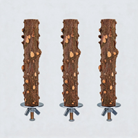 Ensemble de 4 perchoirs en bois naturel pour oiseaux, support en branche d'arbre au poivre du Sichuan pour cage de perroquet, calico et perruche