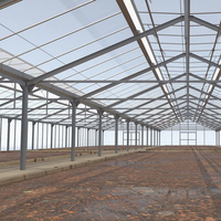 Invernaderos Agrícolas de Bajo Costo, Estructura de Acero Prefabricada, Nave para Cría de Ganado