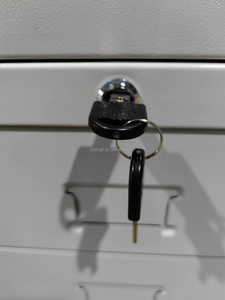 Wholesale A0/A1 Size Metal <strong>Locker</strong> 5 Drawers Plan <strong>Filing</strong> Storage Cabinets Customized <strong>Color</strong> for Home Office Outdoor School Map - Product Image 6