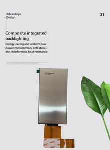 Módulo LCD TFT IPS de 5,5 pulgadas con resolución de 480RGBx960 e interfaz RGB, brillo de 1300, circuito integrado de control ST7701S, 14 LED - Product Image 1