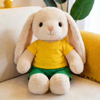 Peluche Lapin Beige Jaune Personnalisée OEM ODM, Jouet en Peluche Doux, Prototype, Cadeau de Vente au Détail, Marchandise Créative pour Magasin