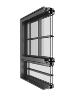 Ventanas de Aluminio con Aspecto de Acero Retro, Rotura de Puente Térmico, Doble Vidrio Templado, Diseño Moderno de Mediados de Siglo, Diseño Gráfico para Uso en Exteriores