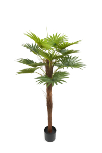 Plan artificial de plástico, tecnología uxury Pace ecor - Product Image 2