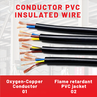 Kabel RVV Konduktor Terpilin 2/3/4/5 Inti 0.5/0.75/1.5/2.5/4/6 Mm Fleksibel Berisolasi PVC Berselubung untuk Penggunaan Bangunan dan Industri