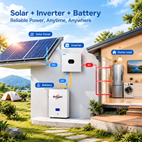 Batterie de stockage d'énergie domestique murale Qiangshi Smart APP Monitoring 51.2V LiFePO4, batterie de secours solaire Powerwall
