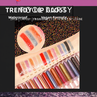 Marque privée Vegan Duochrome Holographic Shimmer Lip Gloss Mineral-Inc Water Proof Liquid Makeup Trending New Colors