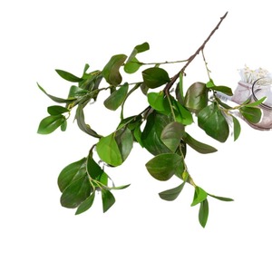 Branche de fleur en soie imprimée en 3D, feuille de haricot simulée, 30cm-100cm, pour décoration florale de maison et de mariage - Product Image 5