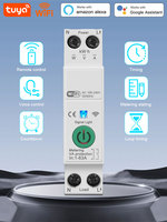 Disjoncteur intelligent sans fil Tuya Wifi avec mesure de puissance 1P 63A sur rail DIN pour maison connectée, commande à distance par application