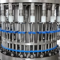 Automatische Complete Vruchtensap Wijn & Bier Productielijn Met Hoge Capaciteit Fles Vulmachine Nieuwe Staat