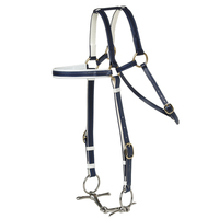 Bride de course équitation en PVC coloré et Durable, équipement de luxe, bride de cheval de Style occidental avec embout métallique