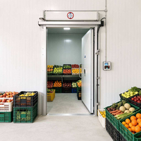 Cámara Frigorífica Industrial para Almacenamiento de Alimentos Congelados, Cuarto Frío a Gran Escala
