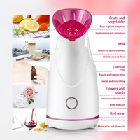 Vaporizador Facial Transfronterizo de Vapor Caliente con Nano Spray, Pulverizador Térmico Hidratante, Instrumento de Belleza Doméstico para Frutas y Verduras, Hecho en China