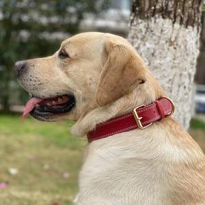 <span class=keywords><strong>Collar</strong></span> de cuero de vaca para perro, personalizado, venta al por mayor, 2023 - Product Image 5