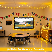 Guirlandes lumineuses Globe Star, guirlandes lumineuses sphériques avec prise USB, lumières féériques étoilées pour la décoration de la chambre à coucher, du dortoir et des festivals
