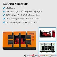 Générateur de gaz naturel ultra silencieux 200kW industriel 68dB à faible bruit avec contrôle intelligent de l'onduleur 20% économie d'énergie