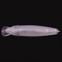 Wildtrek Vente en gros Offre Spéciale Leurre Vif Transparent en Plastique 8cm/9g Corps d'embryon sans hameçon Leurre Dur Non Revêtu DIY