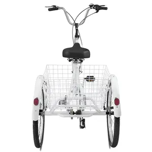 Châu Âu Tiêu Chuẩn 24 "* 6 Ba Bánh Xe Đạp Tốc Độ Hợp Kim Khung Pedal Ba Bánh Cho Người Lớn