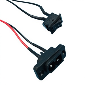 250V 15A Kcd1-116a/2 Anahtar 3p Kıvrımlı Kablo Demeti - Product Image 1