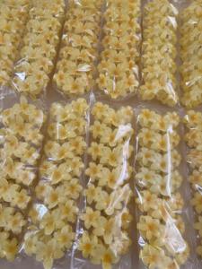 新デザイン 夏らしい甘いグラデーションカラー 3つの花 大きなヘアクリップ 女の子用ヘアアクセサリー アセテート製 大きなプルメリアヘアクリップ 女性用 - Product Image 5