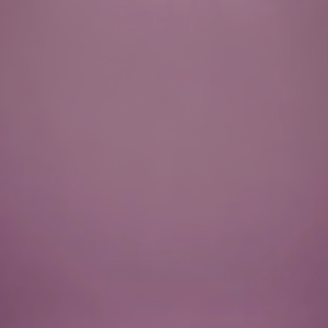 Fourniture professionnelle de peinture fluorocarbone colorée en acier inoxydable plaque d'acier inoxydable colorée personnalisée - Product Image 1