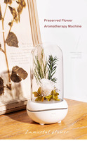 Veilleuse LED Humidificateur d'aromathérapie Fleur éternelle Saint Valentin Cadeau de Noël Diffuseur d'arômes