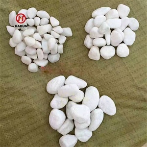 <span class=keywords><strong>Pierre</strong></span> de gravier blanche neige <span class=keywords><strong>Pierre</strong></span> décorative Jardinage et aménagement paysager - Product Image 4