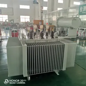 단상 250Kva 500Kva 13.2Kv 변압기 이미지 오일 침수 변압기