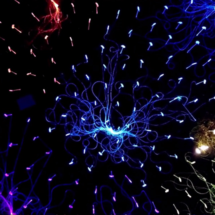 New Product New Design Nwe Model Plastic Fiber Optic Light For Outdoor Light