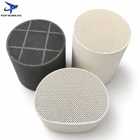 Filtro Antiparticolato Diesel (DPF) ad Alte Prestazioni, a Nido d'Ape in Ceramica Cordierite e Carburo di Silicio, Universale, Nuovo