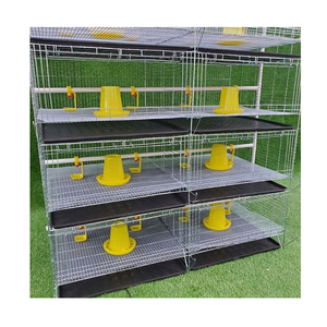 Nuevo sistema de jaulas para pollos de engorde tipo H, granja avícola de batería de 4 niveles y 2 puertas, con cinta transportadora de estiércol de acero galvanizado en frío - Product Image 1