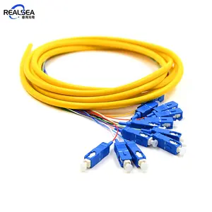 12 Lõi Chế Độ Đơn SC/UPC 0.9Mm LSZH Sợi Quang Pigtail 12 Lõi Fanout Patch Cord