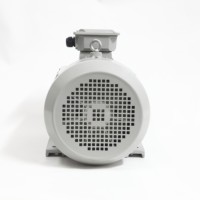 YE2-160L-4 15kW AC Dreiphasenmotor 4-polig 1450 U/min für Pumpenanlagen