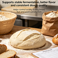 Poudre d'hydroxyde de calcium de qualité alimentaire E526, régulateur d'acidité, pureté 99 %, sac de 25 kg pour la production de tofu et de tortillas de maïs