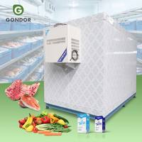 Congélateur portable neuf 8 pieds 10 pieds 20 pieds 40 pieds 20 pieds Conteneur frigorifique Chambre froide pour fruits et légumes Utilisé