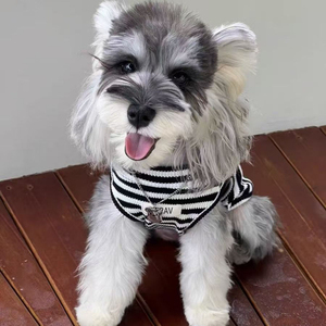 Camisa Ligera a Rayas para <span class=keywords><strong>Perro</strong></span>, Primavera-Verano, Anti-Caída de Pelo, Ropa Linda para Teddy, <span class=keywords><strong>Shih</strong></span> <span class=keywords><strong>Tzu</strong></span>, Schnauzer y Cachorros Pequeños - Product Image 2