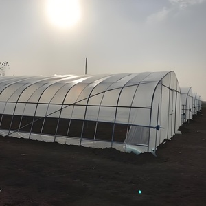 Serra economica del Tunnel commerciale del cerchio agricolo 20-100m pellicola di plastica pomodoro verde casa