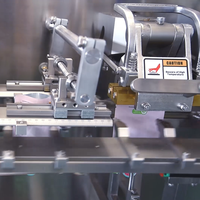 Hoge Kwaliteit DS-140S Doypack Machine Voor Het Vullen Van Zakjes Folie Folie Folie Folie Voor Voedingsproducten Gedroogde Vruchten Snoepjes Pepermuntjes Etikettering