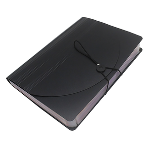 Promotion Button A3 Executive Manila Plastic <strong>Box</strong> Expanding File <strong>Folder</strong> for Import - Product Image 6