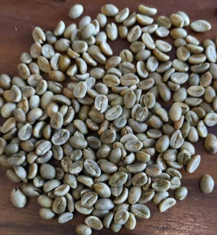 Arabica Coffee Bean and Robusta Coffee