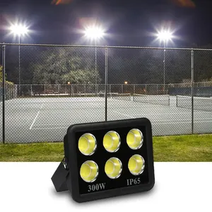 Iluminação exterior do projetor do jardim de alta potência IP65 200W 300w 400w 500w 600w Refletor LED COB Floodlight Outdoor