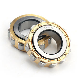 Rodamiento de Rodillos Cilíndricos de Una Hilera RN202 con Jaula de Latón Sin Anillo Exterior para Equipos de Procesamiento de Dulces y Chocolate - Product Image 4