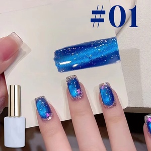 Esmalte de Uñas en Gel Magnético Ojo de Gato con Lentejuelas Pequeñas, Color Rosa Rojo Brillante, Azul Dorado, para Arte de Uñas, Uñas Rosadas, ¡Gran Venta! - Product Image 2