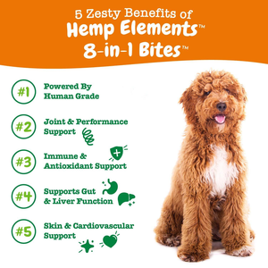 Suplemento 8 en 1 para la cadera y las articulaciones para perros, enzima digestiva, intestino, hígado, antioxidante, salud, multivitamínico, golosinas para masticar para perros - Product Image 2