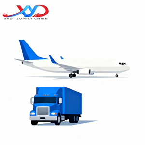 从中国到加拿大/美国/墨西哥/德国的经济航空运输（航空+卡车运输） - Product Image 2