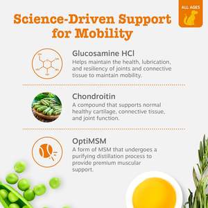 Köpekler için özel etiket kalça ve eklem yumuşak çiğniyor Pet sağlık takviyesi MSM ile ağrı kesici tedavi kıdemli köpek aperatifler destekler - Product Image 3